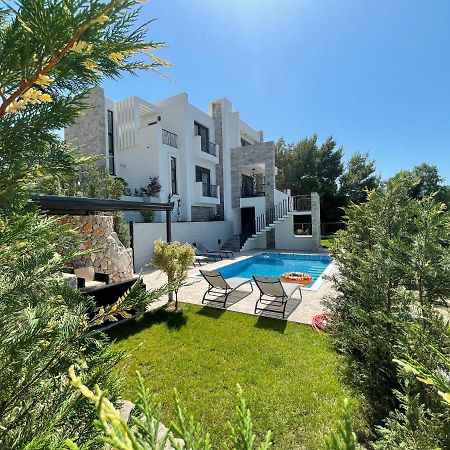 Villa Pine Бар Экстерьер фото